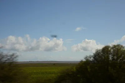 DSC_7222 (Large).JPG